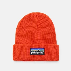 Patagonia K´s Logo Beanie