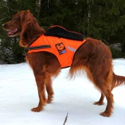 Kardog Jehu Kelluttava Huomioliivi Koiralle