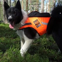 Kardog Raipe Koiran Huomioliivi