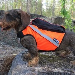 Kardog Sisu Huomioliivi Koiralle