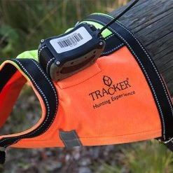 Tracker Huomioliivi Koiralle